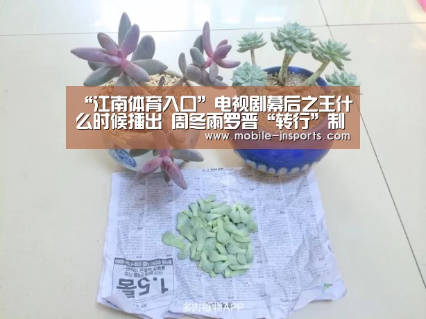 “江南体育入口”电视剧幕后之王什么时候播出 周冬雨罗晋“转行”制作人(图1) 江南体育官网下载