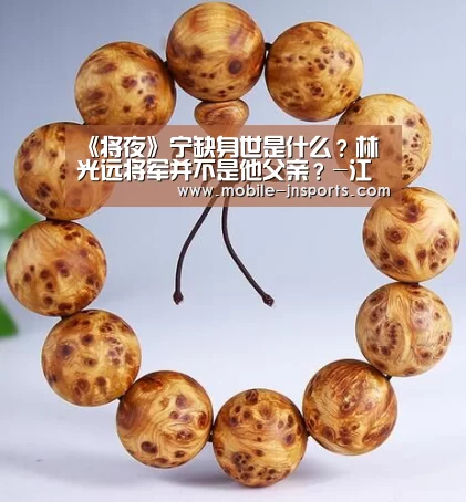 《将夜》宁缺身世是什么?林光远将军并不是他父亲?-江南app官方下载(图1) 江南体育入口