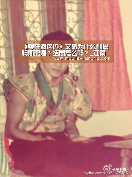 《梦在海这边》艾薇为什么和詹姆斯离婚?结局怎么样?_江南体育入口(图3) 江南app官方下载