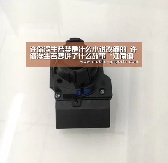 许你浮生若梦是什么小说改编的 许你浮生若梦讲了什么故事‘江南体育app下载’(图2) 江南体育app下载